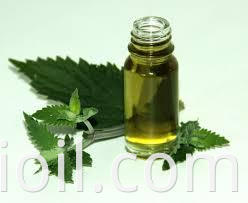 catnip oil